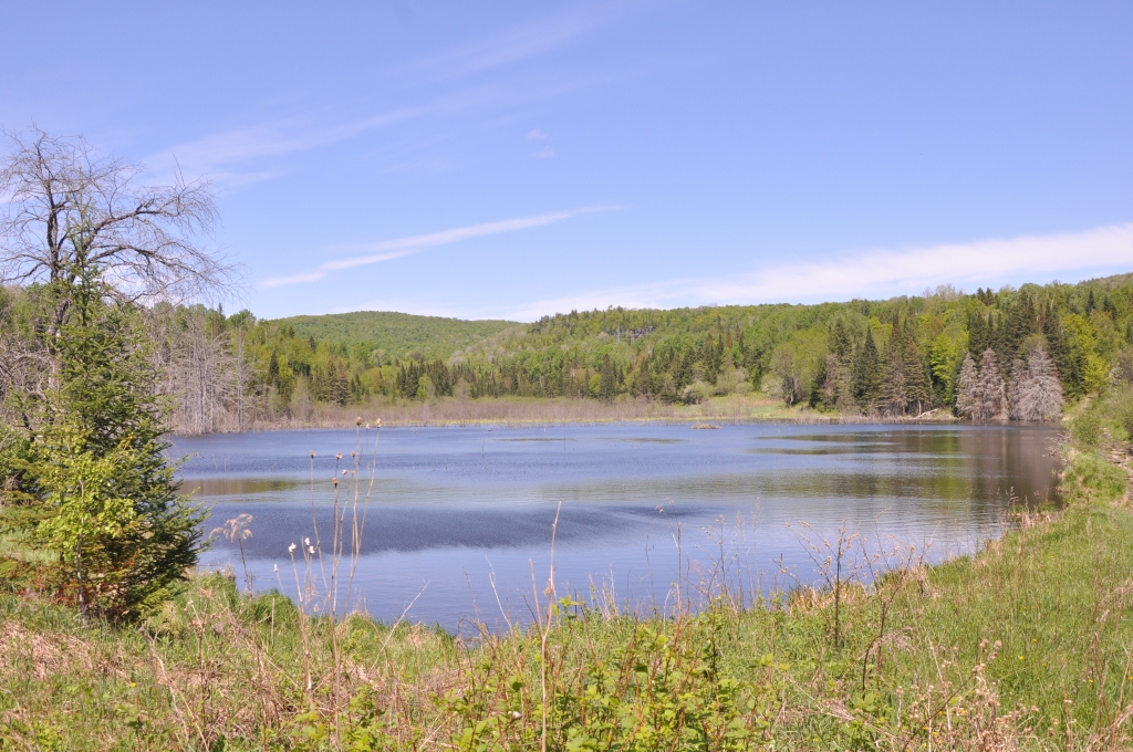 Quatre nouvelles réserves naturelles reconnues par Québec Journal Le Nord