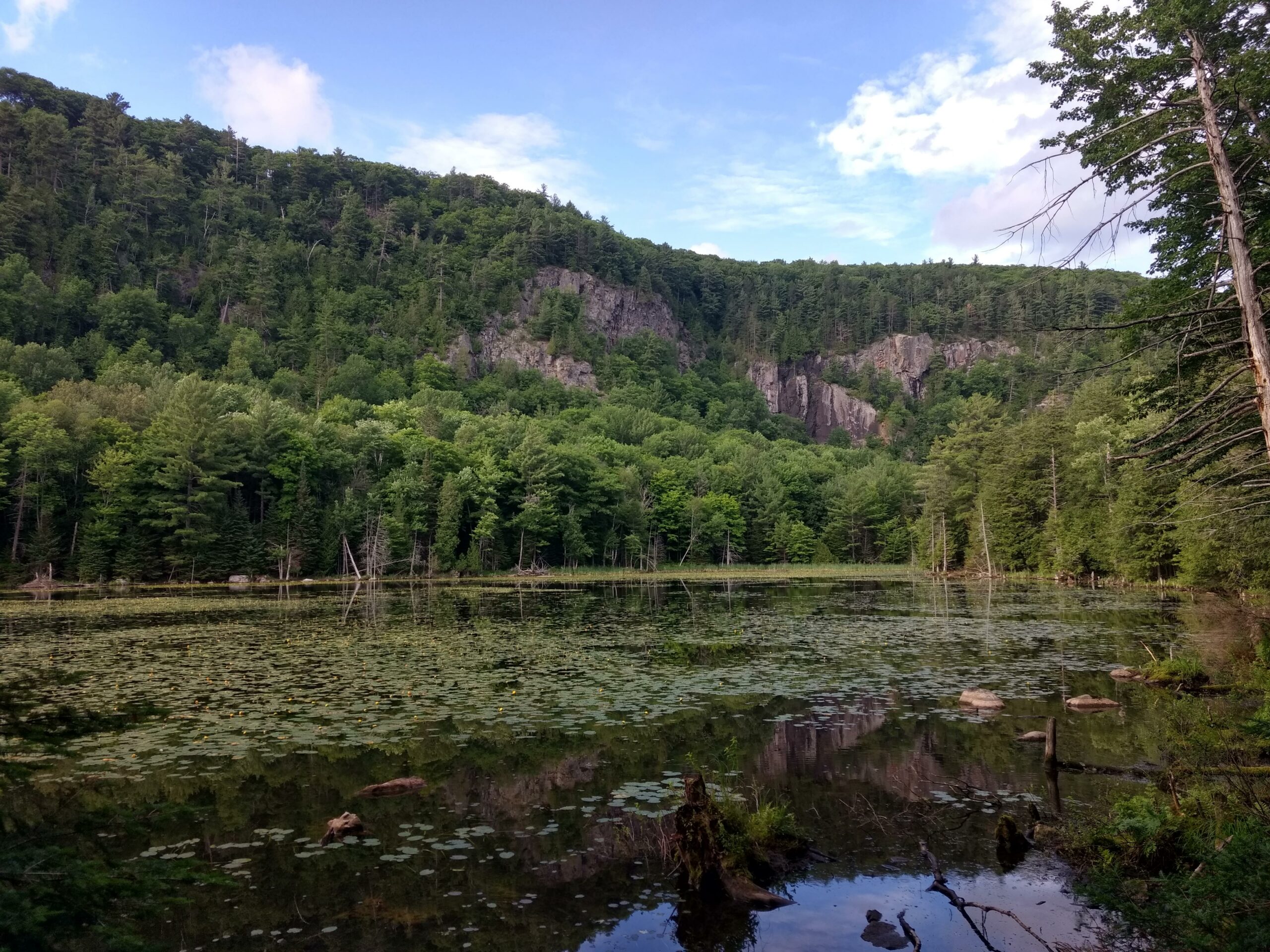 Réserve naturelle AlfredKelly Pour l’amour des oiseaux Journal Le Nord
