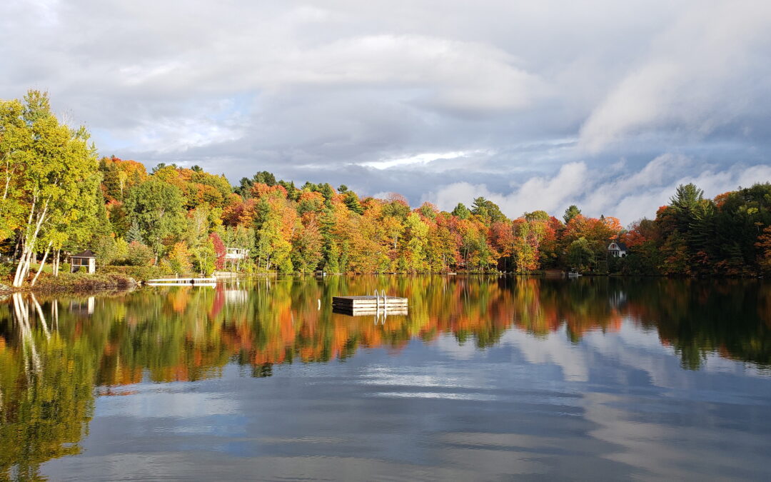 70 000 $ à investir pour sauver le Lac René