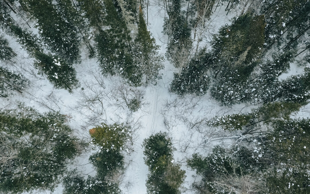 Une vision régionale pour connecter les milieux naturels