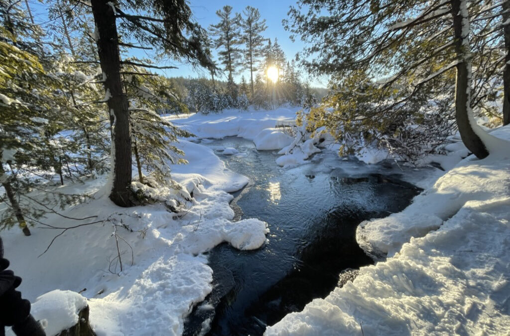 HÉPAN acquiert un terrain de 4,7 hectares
