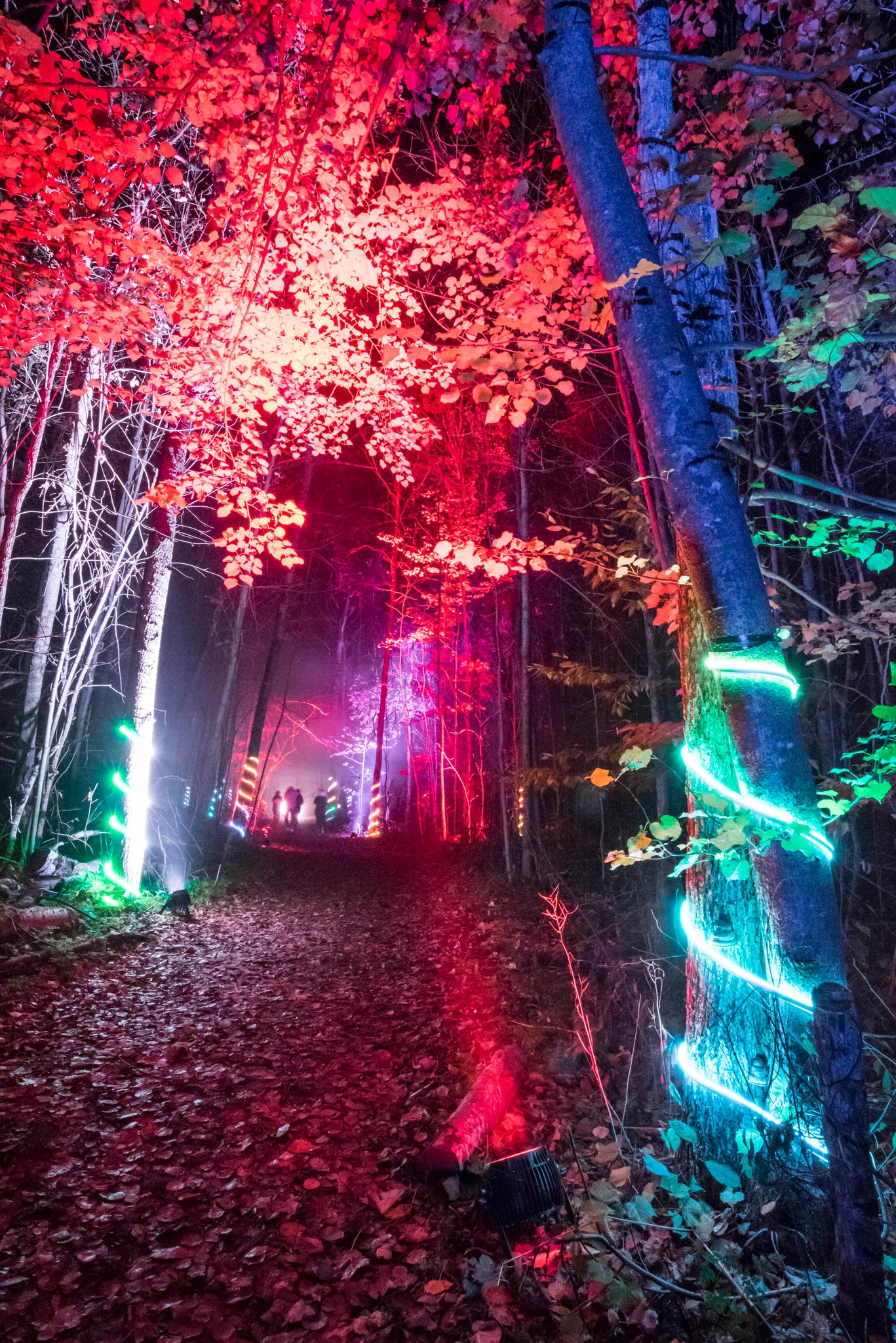 Les sentiers du Parc régional de la RivièreduNord seront illuminés